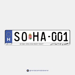 Az éjjel soha nem érhet véget! műgyantás rendszámtáblakeret