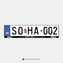 Az éjjel soha nem érhet véget! műgyantás rendszámtáblakeret