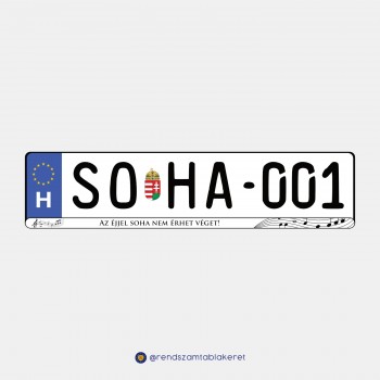 Az éjjel soha nem érhet véget! műgyantás rendszámtáblakeret