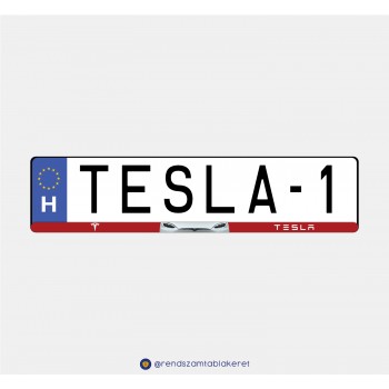 Tesla műgyantás rendszámtáblakeret